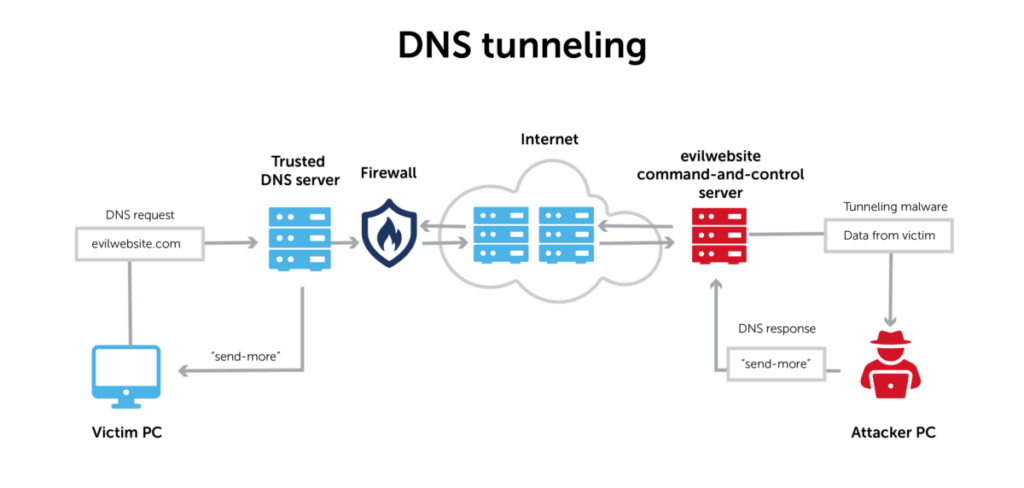 DNS-cyber-snowden
