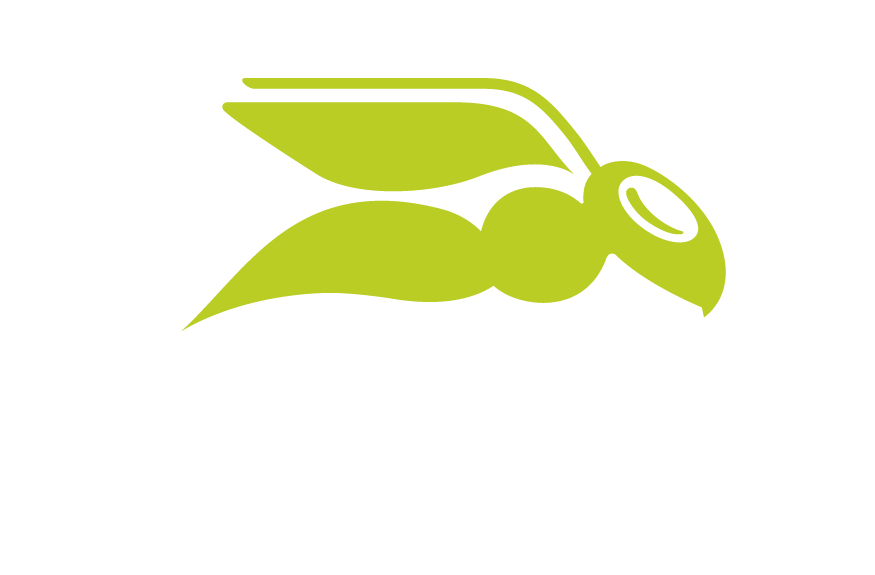 HSE by Proofpoint WhiteGreen