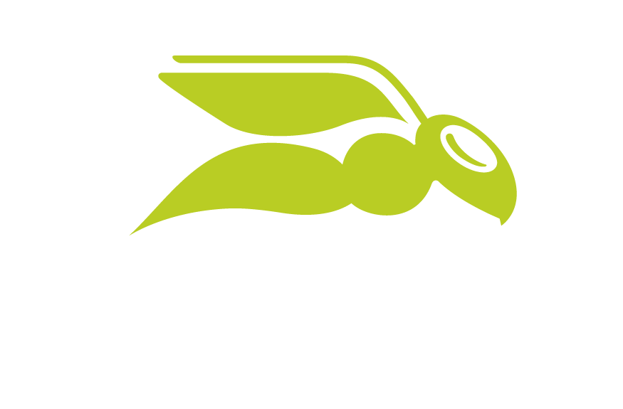 HSE by Proofpoint WhiteGreen