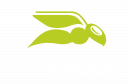 HSE by Proofpoint WhiteGreen